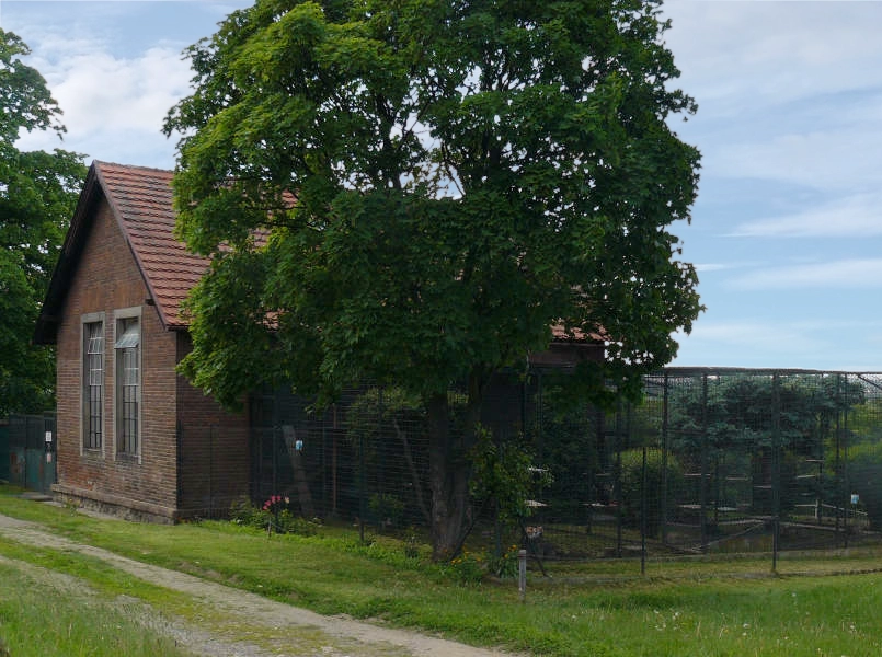 Útulek Bohnice, Domeček